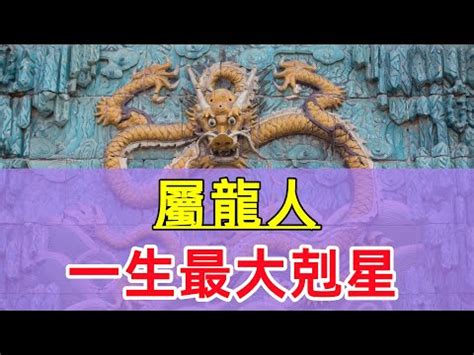 屬龍適合的生肖|生肖配對｜屬龍12生肖夫妻配對表！最佳姻緣及相沖排